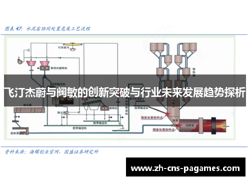 飞汀杰蔚与阀敏的创新突破与行业未来发展趋势探析
